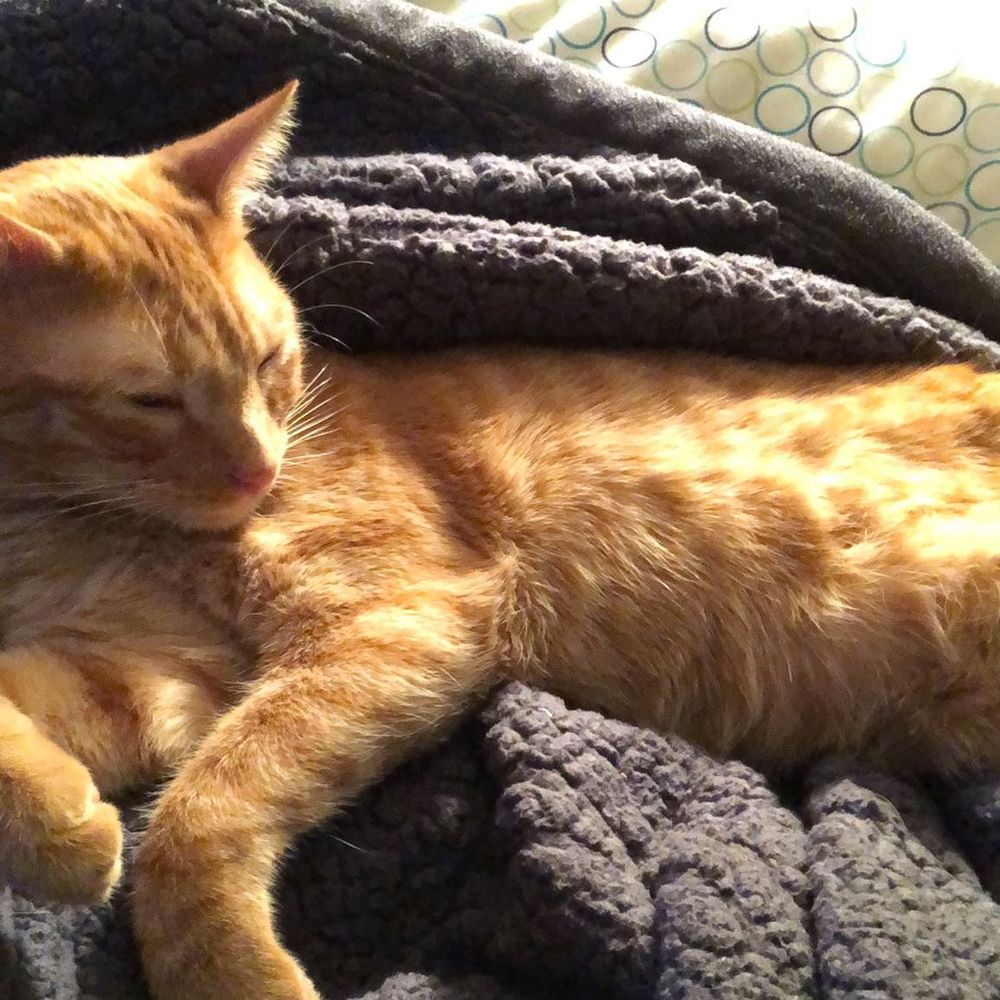 Meet your Posher, Ang